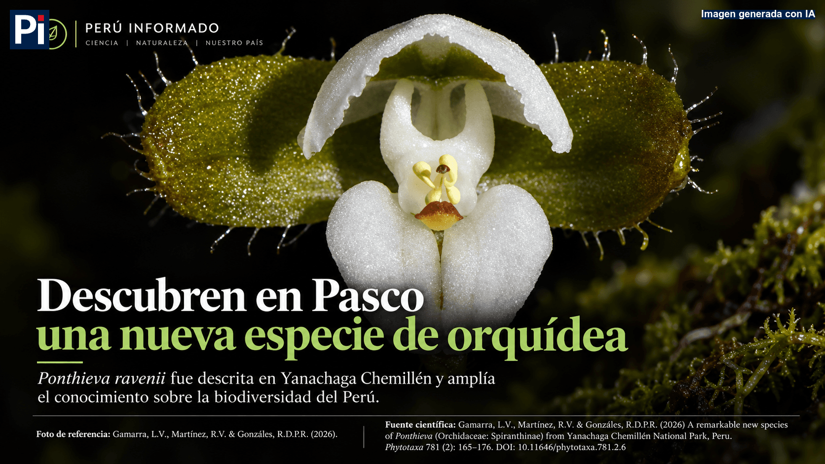 Descubren en Pasco una nueva especie de orquídea que amplía la riqueza natural del Perú